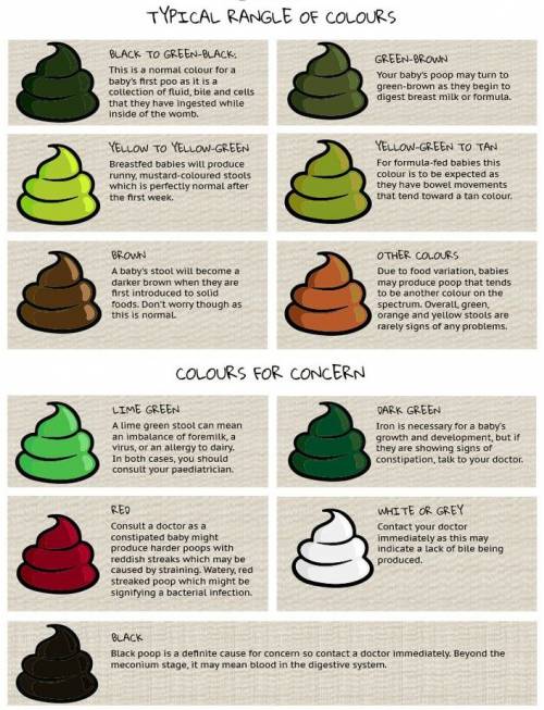 Toddler Poo Colour Chart Nhs
